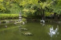 Japanese garden pond Royalty Free Stock Photo