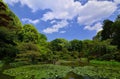 Japanese garden and the pond, Kyoto Japan. Royalty Free Stock Photo