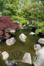 Japanese Garden Pond Royalty Free Stock Photo