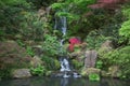 Japanese garden pond Royalty Free Stock Photo