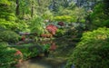 Japanese garden pond Royalty Free Stock Photo