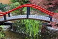 Japanese garden pond Royalty Free Stock Photo