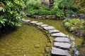 Japanese garden pond Royalty Free Stock Photo