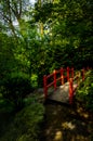 Japanese garden with red bridge Royalty Free Stock Photo