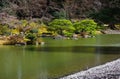 Japanese garden`s pond and pine trees, spring in Japan. Royalty Free Stock Photo