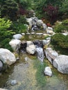 Japanese garden in San Francisco