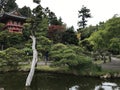 Japanese garden in San Francisco