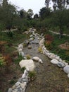 Japanese garden in San Francisco