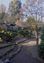 Japanese Garden in Santiago de Chile Royalty Free Stock Photo