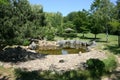 Japanese Garden with a small lake Royalty Free Stock Photo