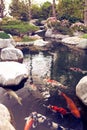 Japanese garden with small lake and swimming fishes Royalty Free Stock Photo