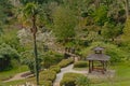 Japanese garden in spring in Powerscourt estate Royalty Free Stock Photo