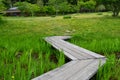 Japanese garden in spring, wooden bridge and stream. Royalty Free Stock Photo