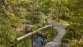 Japanese garden with a stone bridge across a river. Royalty Free Stock Photo