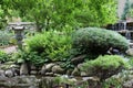 A Japanese garden with a stone lantern, Maple tree, evergreens, shrubs, ferns and a stone waterfall in Janesville, Wisconsin