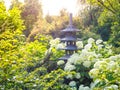 Japanese garden. Stone lantern placed among the flowers in Japanese garden. Royalty Free Stock Photo