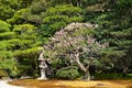 Japanese garden and stone lantern, spring in Japan. Royalty Free Stock Photo