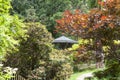 Japanese Garden in summer, exotic plants, Wroclaw, Poland Royalty Free Stock Photo