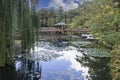 Japanese Garden in Szczytnicki Park, exotic plants, Wroclaw, Poland