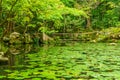 Japanese Garden of the Tenju-an Temple, Kyoto Royalty Free Stock Photo