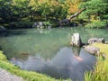 Japanese garden at Tenryuji Temple