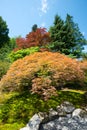 Japanese Garden at Washington Park Arboretum in Seattle Royalty Free Stock Photo