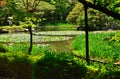 Japanese garden and water lily, Kyoto Japan. Royalty Free Stock Photo