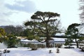 Japanese garden in winer, Kyoto Japan Royalty Free Stock Photo