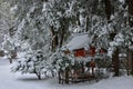 Japanese garden in winter, Kyoto Japan Royalty Free Stock Photo