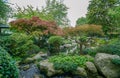 Japanese garden in Wurzburg with japanese maples and artificial stream