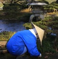 Japanese gardener at Kanazawa garden. Kanazawa Japan