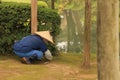 Japanese Gardener