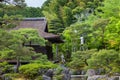 Japanese gardeners nursing a tree