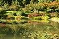 Japanese Gardens Royalty Free Stock Photo