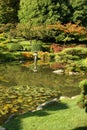 Japanese Gardens Royalty Free Stock Photo