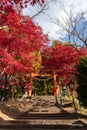 Japanese gate Torii and ladder to Chureito Pagoda, Arakurayama Sengen Park Japan Royalty Free Stock Photo