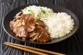 Japanese Ginger Pork Shogayaki with rice garnish and cabbage closeup in the plate. horizontal Royalty Free Stock Photo