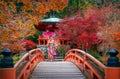 Japanese girl in kimono traditional dress walk in red bridge in Daigoji temple Royalty Free Stock Photo