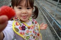 Japanese girl picking strawberry Royalty Free Stock Photo