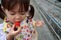 Japanese girl picking strawberry Royalty Free Stock Photo