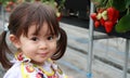 Japanese girl picking strawberry Royalty Free Stock Photo