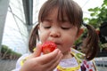 Japanese girl picking strawberry Royalty Free Stock Photo