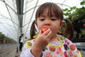 Japanese girl picking strawberry Royalty Free Stock Photo