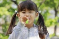 Japanese girl playing with bubble in the green Royalty Free Stock Photo