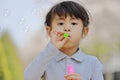 Japanese girl playing with bubble under the blue sky Royalty Free Stock Photo