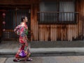 Japanese girl in traditional kimono dress Royalty Free Stock Photo