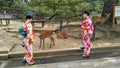 Japanese girls in kimono playing with deers