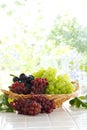 Japanese grapes taken at the kitchen window Royalty Free Stock Photo