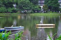 Japanese Gray Heron close-up perched on a boat in a Lake, found in Asia and Japan. At public lake in Tokyo, Japan.