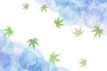 Japanese green maple leaf abstract on summer blue watercolor paint background Royalty Free Stock Photo